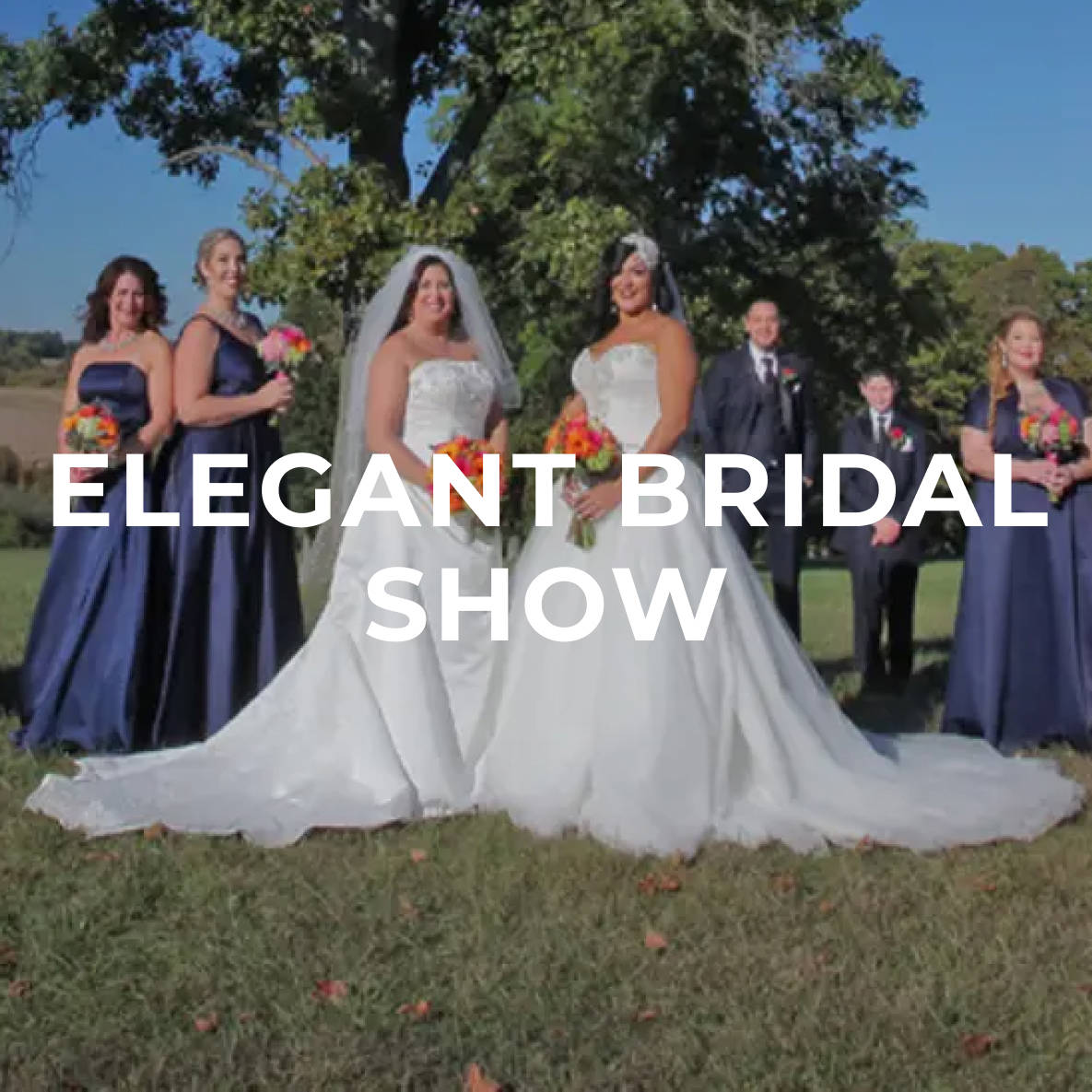 Elegant Bridal Show The Club at Picatinny Main Image
