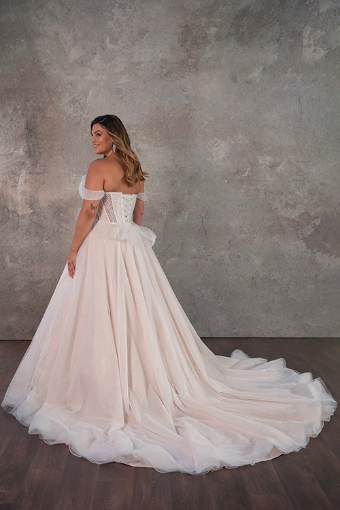 Essense of Australia #D4130 #6 (IV-AL) Ivory Lace Tulle and Regency Organza over Almond Gown thumbnail